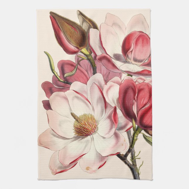 Linge De Cuisine Vintage Magnolia (Vertical)