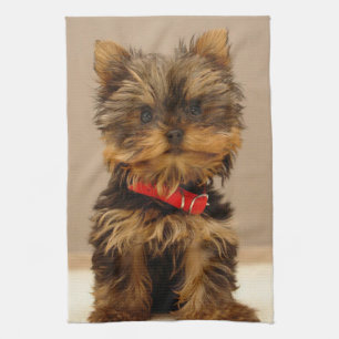 Linge De Cuisine Yorkshire Terrier