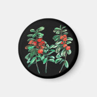 Lingonberry