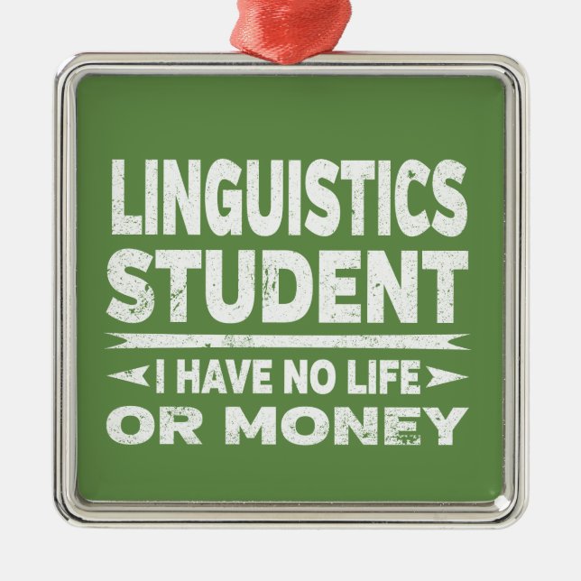 Linguistics College Student I Have No Life Money Metal Ornament (Front)