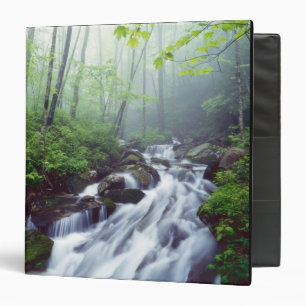 Linn Cove Creek cascading through foggy Binder