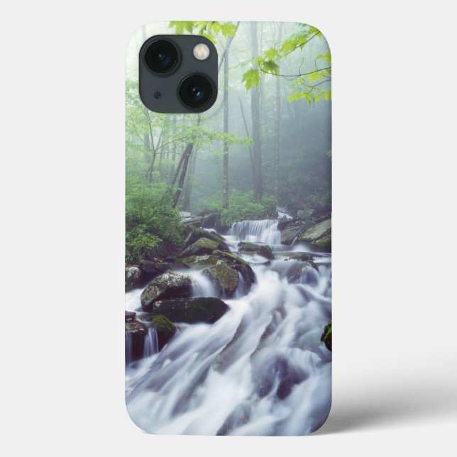 Linn Cove Creek cascading through foggy Case-Mate iPhone Case (Back)