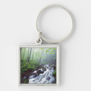 Linn Cove Creek cascading through foggy Keychain