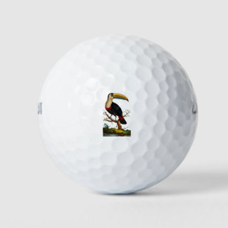 Linnaeus Birds - Toucan Golf Balls