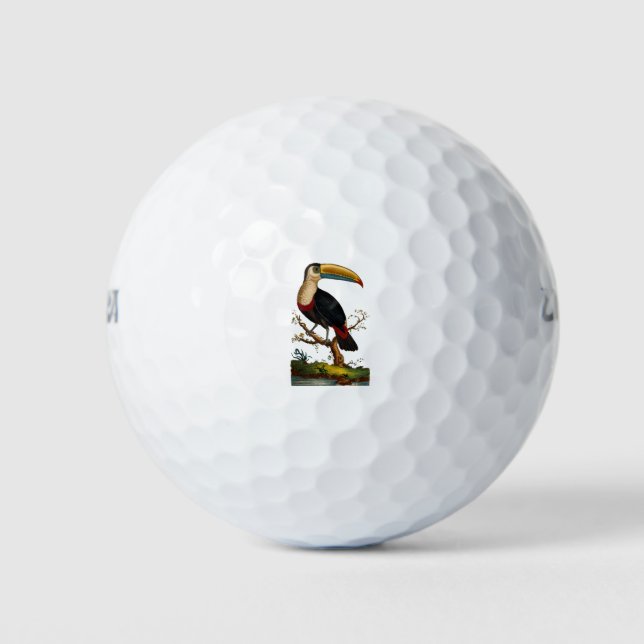 Linnaeus Birds - Toucan Golf Balls (Front)