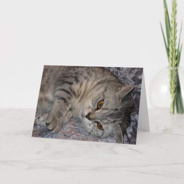 Linnea Cat quote card (Front)