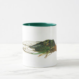 Linne's Cicada (Neotibicen linnei) Annual Mug