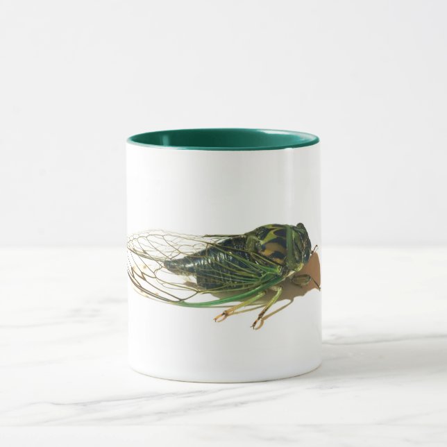 Linne's Cicada (Neotibicen linnei) Annual Mug (Center)