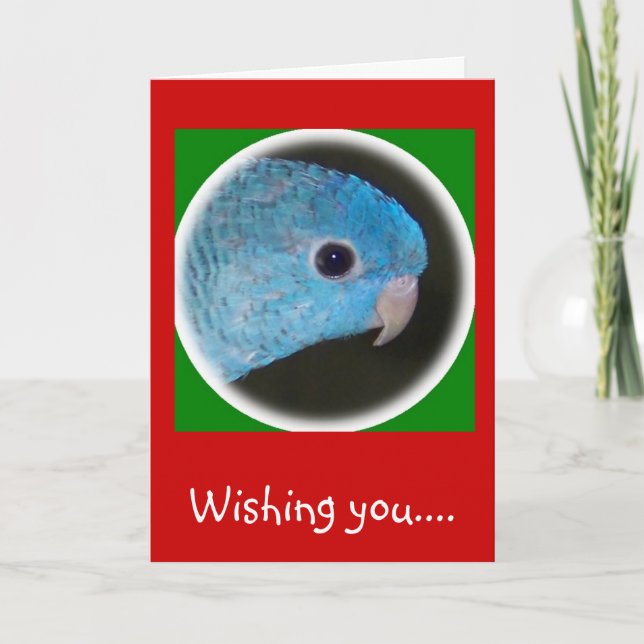 linnie parakeet carte noël joyeuses fêtes (Devant)