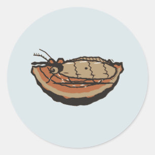 Linocut Winter Moth on Rust Bracket Fungus Classic Round Sticker
