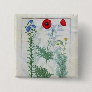 Linum, Garden poppies and Abrotanum 2 Inch Square Button