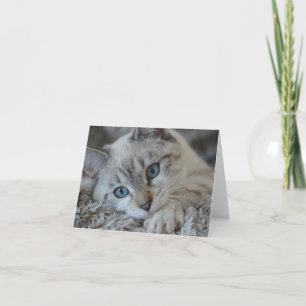 Linx Point Siamese Card