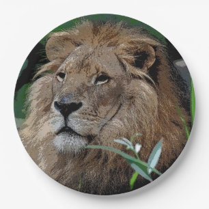 Lion20150805 Paper Plate
