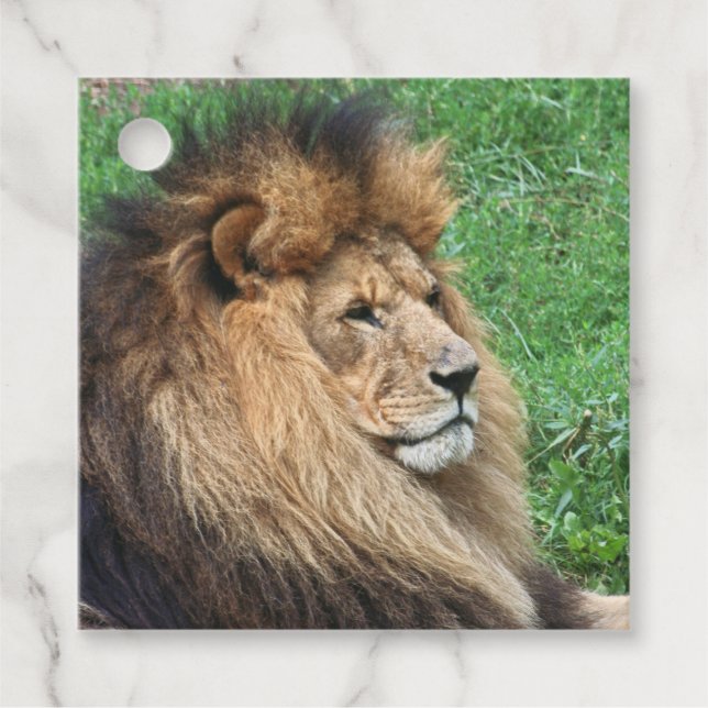 Lion 001 favour tags (Front)