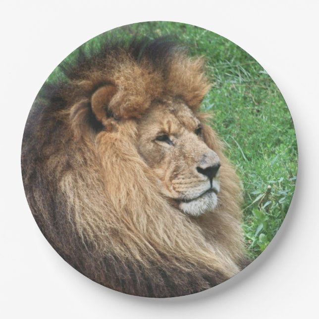 Lion 001 paper plate (Front)