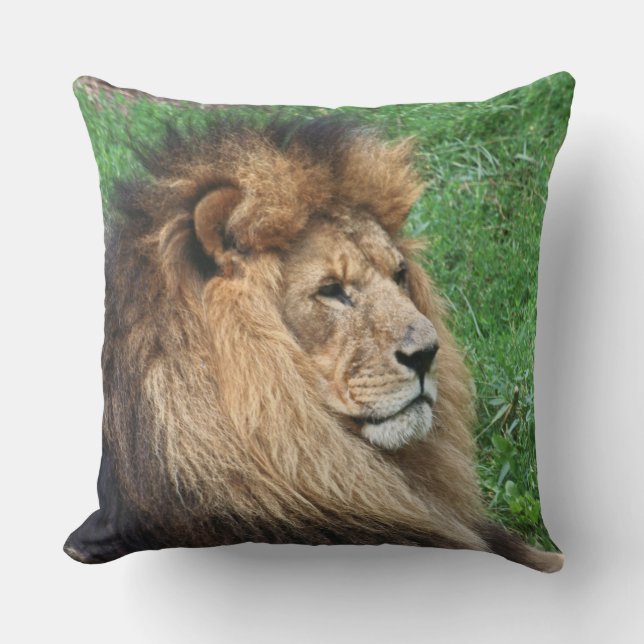 Lion 001 throw pillow (Front)