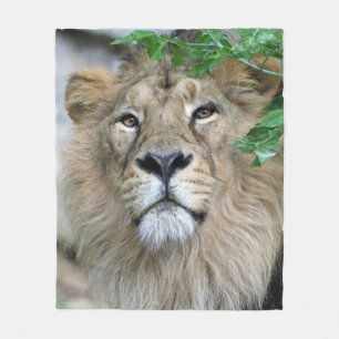 Lion 002 fleece blanket