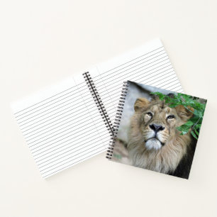 Lion 002 notebook