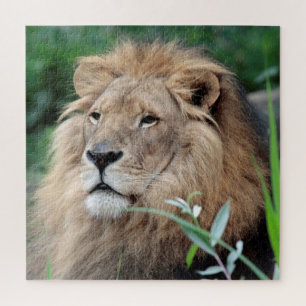 Lion 003 by JAMFoto Jigsaw Puzzle