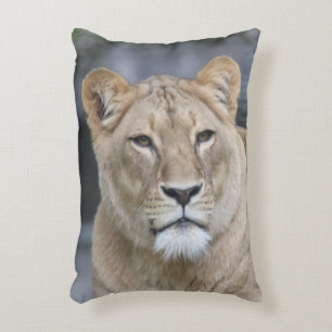 Lion 004 accent pillow