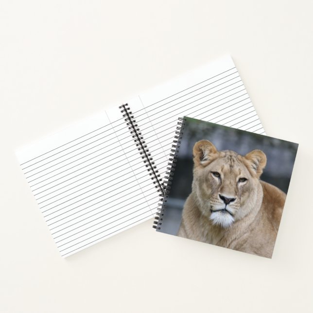 Lion 004 notebook (Inside)