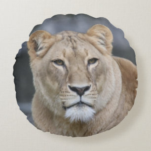 Lion 004 round pillow