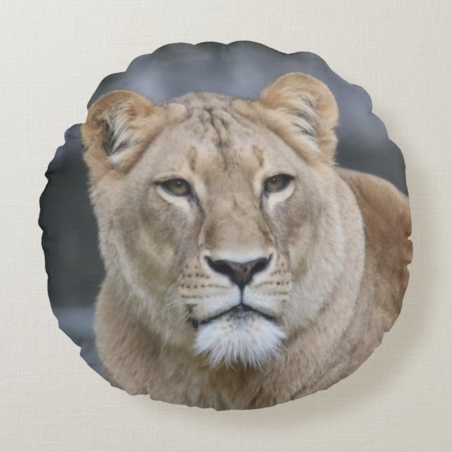 Lion 004 round pillow (Front)