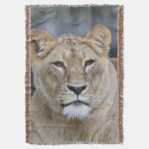 Lion 004 throw blanket