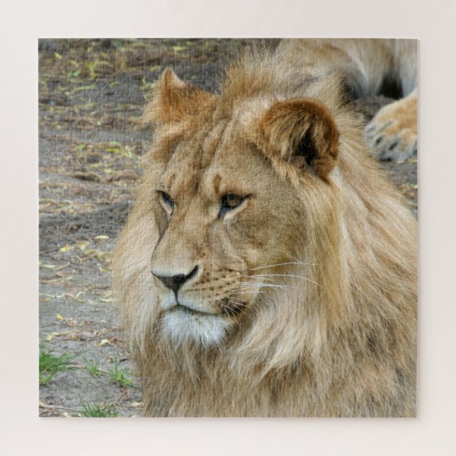 Lion 005 by JAMFoto Jigsaw Puzzle (Vertical)