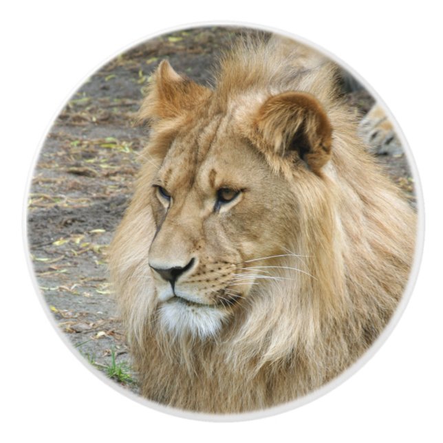 Lion 011 ceramic knob (Front)