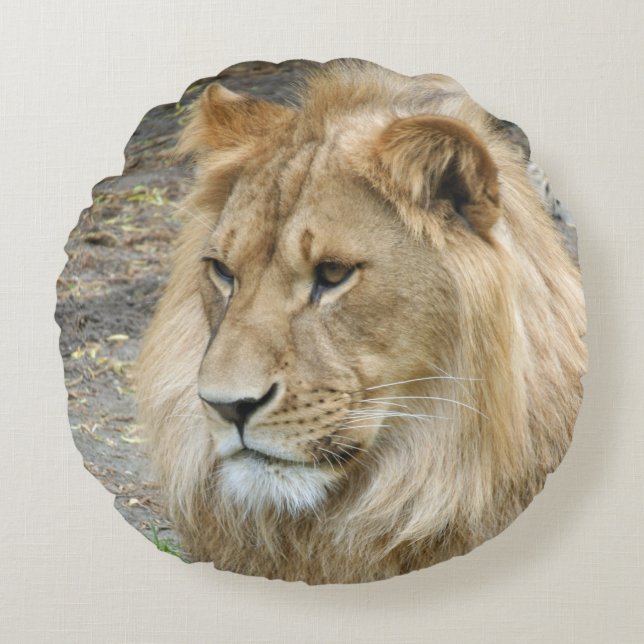 Lion 011 round pillow (Front)