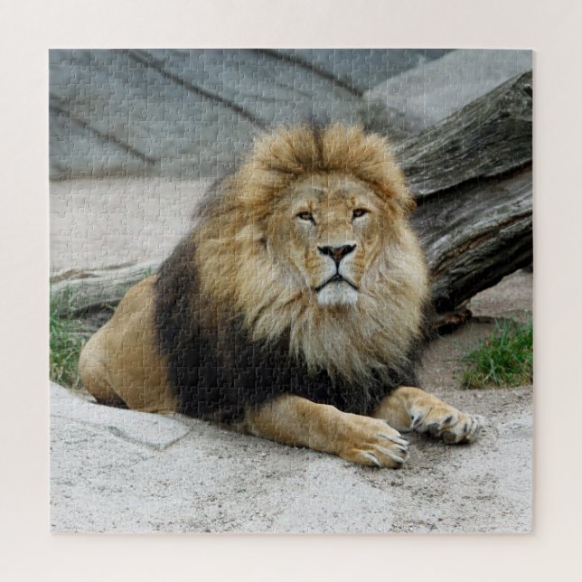 Lion 012 by JAMFoto Jigsaw Puzzle (Vertical)