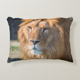 Lion 013 accent pillow