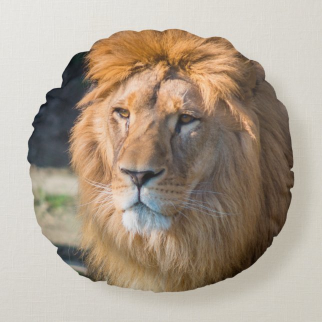 Lion 013 round pillow (Front)