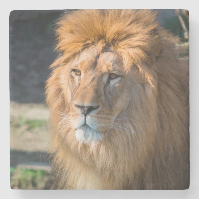 Lion 013 stone coaster (Front)
