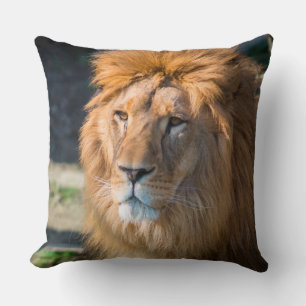 Lion 013 throw pillow