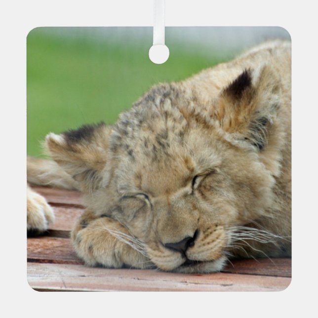 Lion 014 metal ornament (Front)