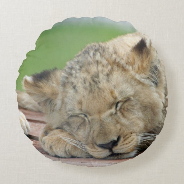Lion 014 round pillow (Front)