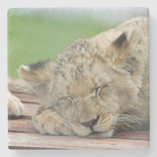 Lion 014 stone coaster (Front)