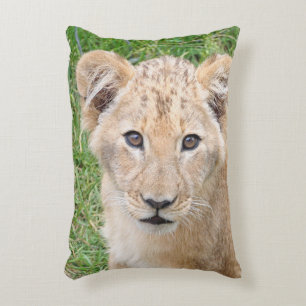 Lion 016 accent pillow