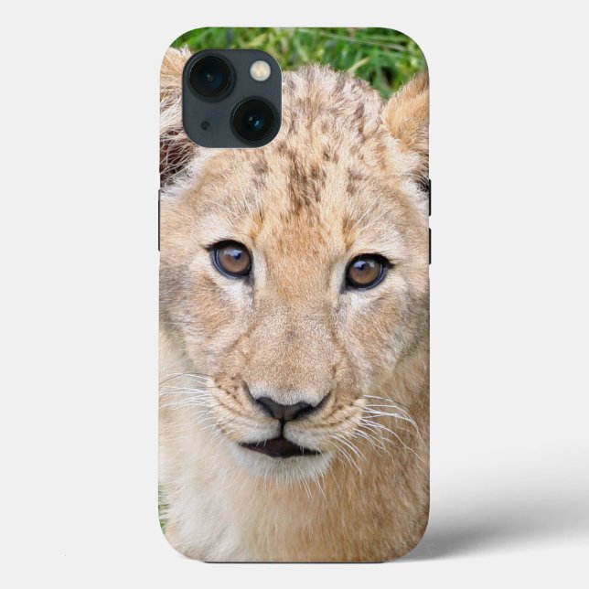 Lion 016 Case-Mate iPhone case (Back)