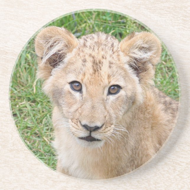 Lion 016 coaster (Front)
