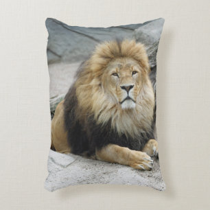 Lion 020 accent pillow