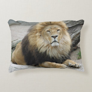 Lion 020 accent pillow