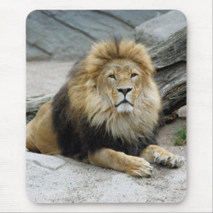 Lion 020 mouse pad