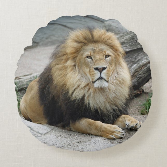 Lion 020 round pillow (Front)