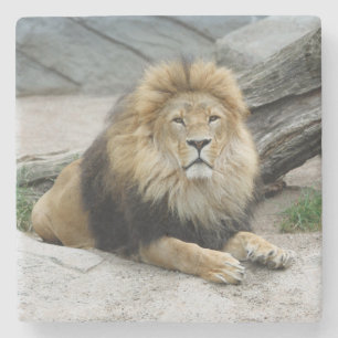 Lion 020 stone coaster