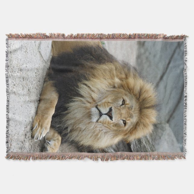 Lion 020 throw blanket (Front)