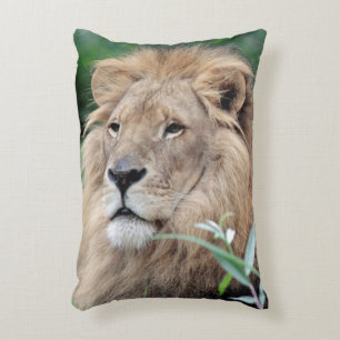 Lion 021 accent pillow