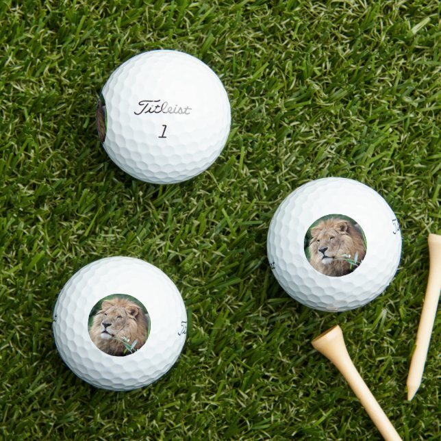 Lion 021 golf balls (Insitu Grass)